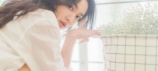 绯闻小说完结排行榜