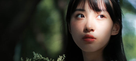 护卫小说完结大全