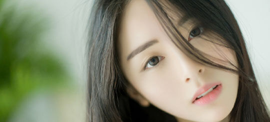 最好看的龙血小说