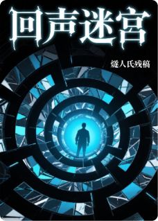 回声迷宫