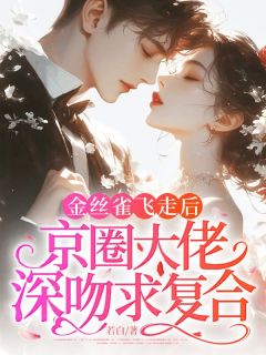 金丝雀飞走后，京圈大佬深吻求复合