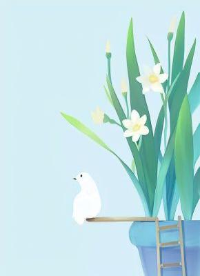 在七院，我把霸总养成了十佳护工