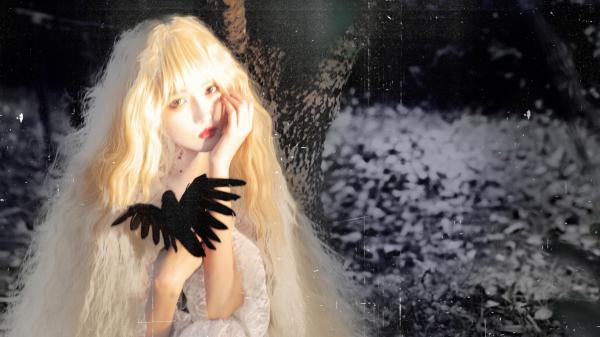 沈知言苏晚顾衍精彩章节小说免费试读地址 主角我死后,总裁老婆疯了