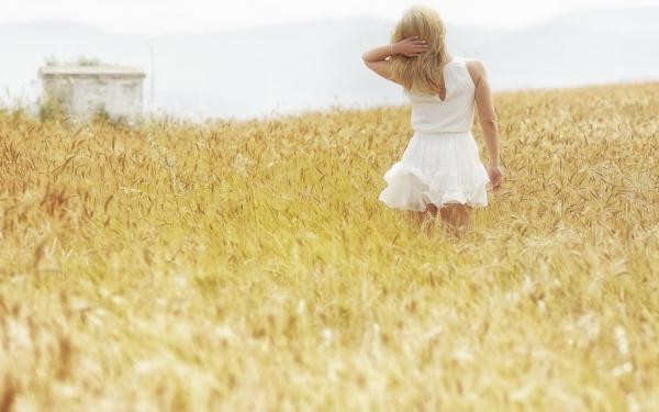 《宋皎宋瑶》小说全文精彩阅读 娘亲拿我身体给假千金招魂,却招出厉鬼了小说全文