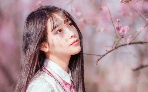 《都拿我当舔狗了,离婚后你哭什么?》小说章节列表在线阅读 沈棠岳应淮小说阅读