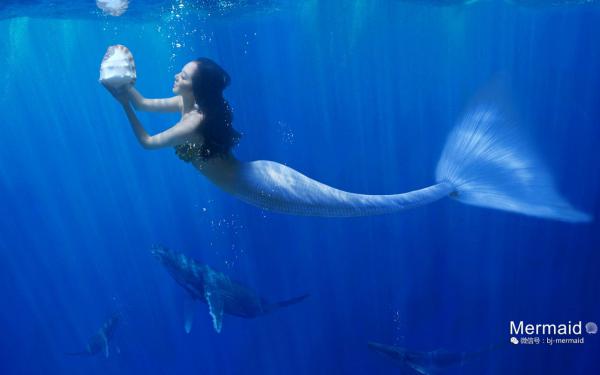 《陈上流金草鹅》大结局免费阅读 《陈上流金草鹅》最新章节列表